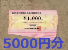 ビックカメラ 株主優待券 5000円分