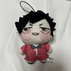 ハイキュー ちょぴぬいぷち 黒尾鉄朗