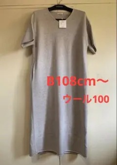 Item thumbnail for item 488e3338-9748-4074-ba6e-668892288134