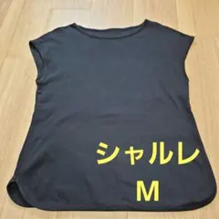 Item thumbnail for item 51ec93b1-d626-46ba-898f-437922dfb200