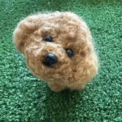 ふわふわトイプードル（鑑賞用）のサムネイル