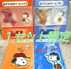 スヌーピー サンリオ くじ 一番くじ アクリルチャーム & キーホルダー ４点