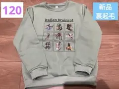 イタリアンブレインロット 120 裏起毛