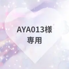 AYA013様　専用