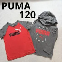 PUMA 子供服　キッズ　120 ロンT 長袖Tシャツ　カットソー　半袖Tシャツ