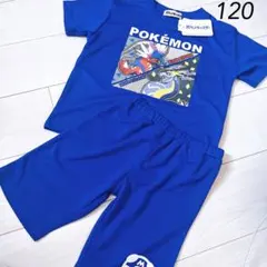 【新品】ポケモン セットアップ120 コライドン ミライドン ブルー