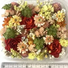 No.53 花材色々ドライフラワーセット