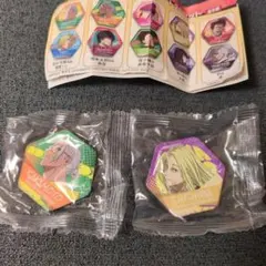 サカモトデイズ マグネットシート2個セット✕2個