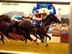 競馬 トウカイテイオー 第12回ジャパンカップ 競馬写真木製パネル