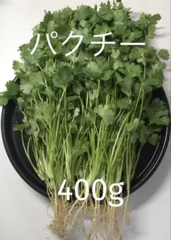 パクチー 香菜 コリアンダー 400gのサムネイル
