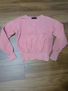 evisu スウェット