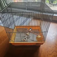 STAR 鳥かご 黄色のサムネイル