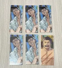 FGO 最終再臨展 編成画面風カード 水着 クーフーリン 5枚セット フェルグス