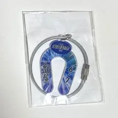 JRAウェルカムチャンス G1アクリルキーホルダー 安田記念