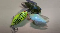 Item thumbnail for item db52d34f-ce64-49bf-94d4-f76d62f5f605