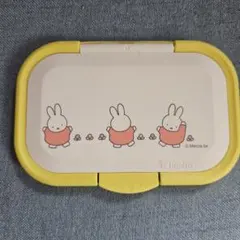 Item thumbnail for item 749a320f-a97d-4b10-9bfd-43ba4c0a1651