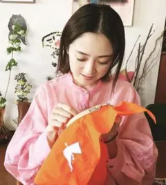 CLANE SWITCH SHEER SHIRT ブラウス　サイズ1 ピンクのサムネイル