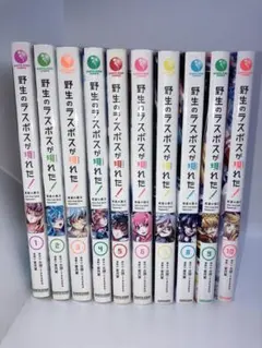 《最終値下げ‼️》野生のラスボスが現れた!黒翼の覇王　1巻から10巻