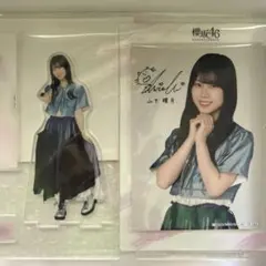 向井純葉　櫻坂46 アクスタ　ブロマイド　ローソン　2026　生写真 櫻坂46 向井純葉 ローソン アクスタ ブロマイド 生写真 非売品 - メルカリ