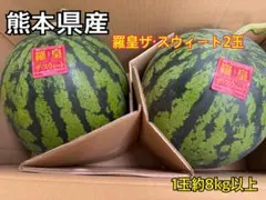熊本県産【羅皇ザ・スウィート2玉】1玉約8kg以上 - メルカリ