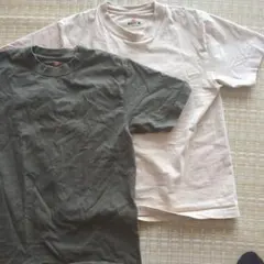 Hanes BEEFY-T Tシャツ 2枚セット カーキ ベージュ