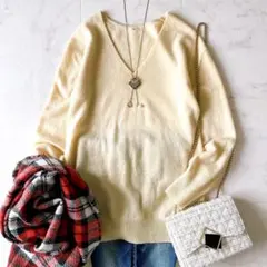 美品☆イエナ カシミア100％ 柔らか Vネックニット プルオーバー