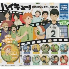 ハイキュー!! 思い出シャイニー缶バッジ 山口忠