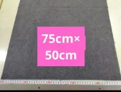 Item thumbnail for item e5df08d2-78ff-4cbb-8ef6-13e7e8a4a080