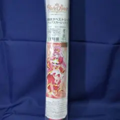 2025年最新】等身大タペストリー プリンセスプリキュアの人気アイテム