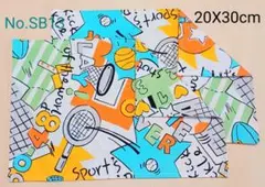 新品ランチョンマット2枚セット《No. SB13》