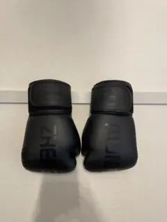 Item thumbnail for item 215f8e08-9686-4564-83c9-34f597d7d2c0