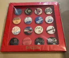 【景品】B'zPleasure II 缶バッジ　予約特典クジ