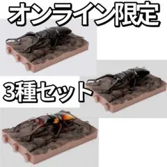 オンライン限定 いきもの大図鑑 くわがた11 樹皮台座（小）付き 3種セットのサムネイル