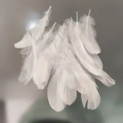 ホワイト フェザー 羽根 素材 ハンドメイド 手芸のサムネイル