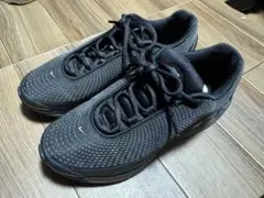 【たつを様　専用】ナイキ エアマックスDN 25.5cm