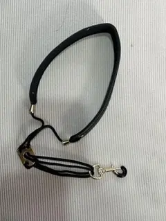 Item thumbnail for item 25d436ff-b844-4c3b-9bd5-d56d805c6dcd