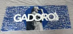 ૮*ა様 GADORO タオル一家団欒