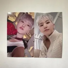 SEVENTEEN ホシ トレカ 大阪 会場限定 消費期限 STF