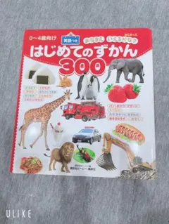 はじめてのずかん300 : BCキッズおなまえいえるかな? : 英語つき : …