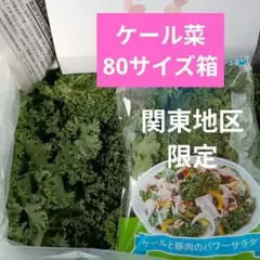 リピート購入で＋10羽】 送料無料 国産 新鮮安全 冷凍ひよこ 50羽