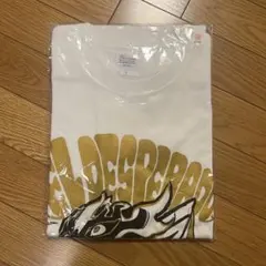 Item thumbnail for item 68f02dcd-25ae-458f-bed4-73cc6b1f37d2