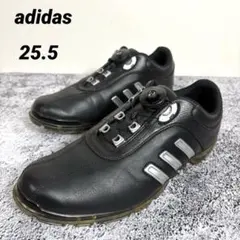 adidas ゴルフシューズ　メンズ　ダイヤル式　黒　アディダス　25.5