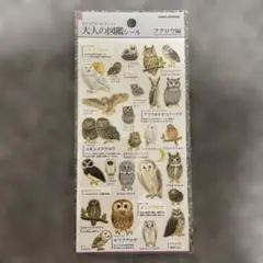 D・R・M-hiro-様 リクエスト 2点 まとめ商品