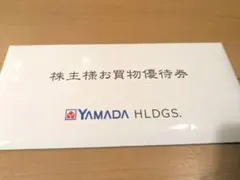 ヤマダ電機お買い物優待券 10枚 5000円分
