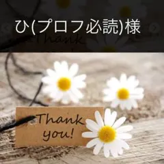 ひ(プロフ必読)様専用