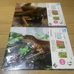 爬虫類＆両生類　一番くじ　3点