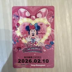 リゾートライン ミニーのファンダーランド　パルパルーザ　フリーきっぷ　使用済み