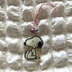 ユニバーサルスタジオジャパン　スヌーピー　キーホルダー