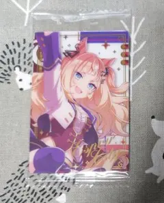 エスポワールシチー （STARTING FUTURE）内袋未開封品1枚
