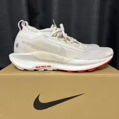 NIKE ゴアテックス ペガサストレイル5 GORE-TEX　PEGASUS